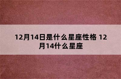 12月14日是什么星座性格 12月14什么星座